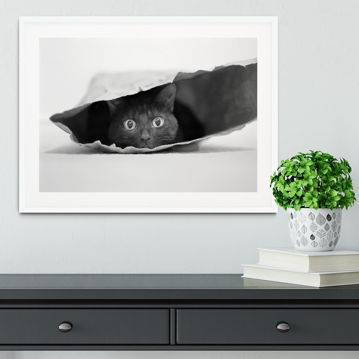 Cat in a bag Framed Print - 1x - 5