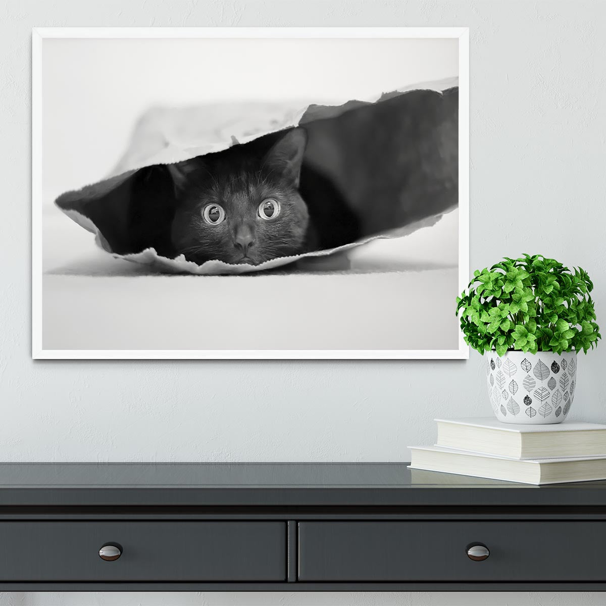 Cat in a bag Framed Print - 1x -6