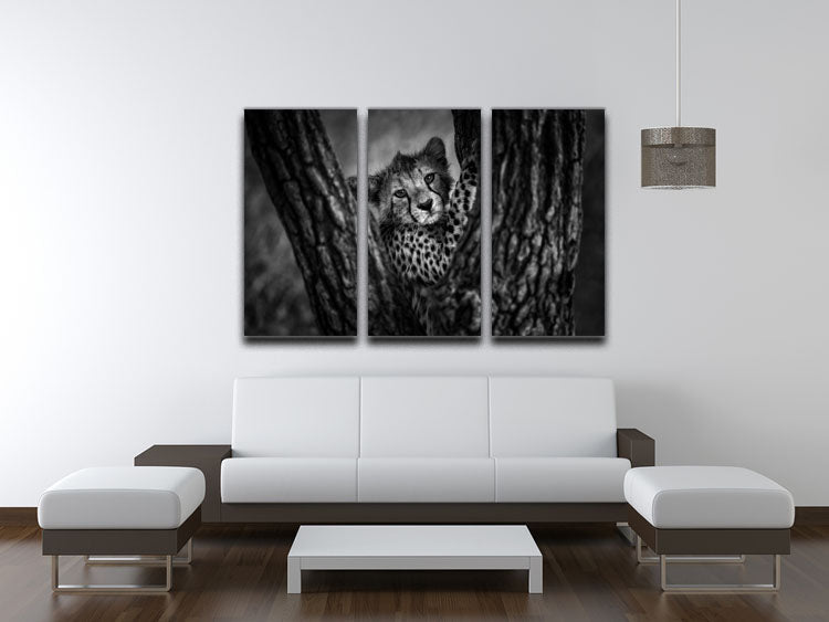 Centered 3 Split Panel Canvas Print - 1x - 3