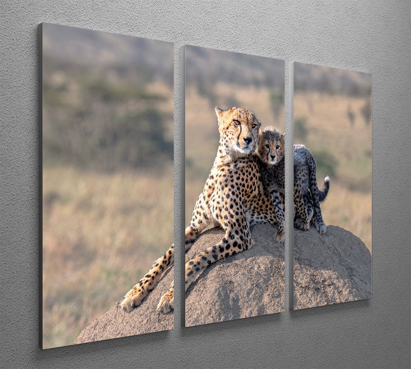 Cheetah and cup 3 Split Panel Canvas Print - 1x - 2