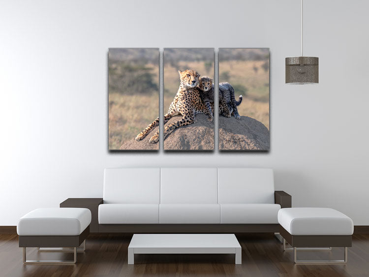 Cheetah and cup 3 Split Panel Canvas Print - 1x - 3