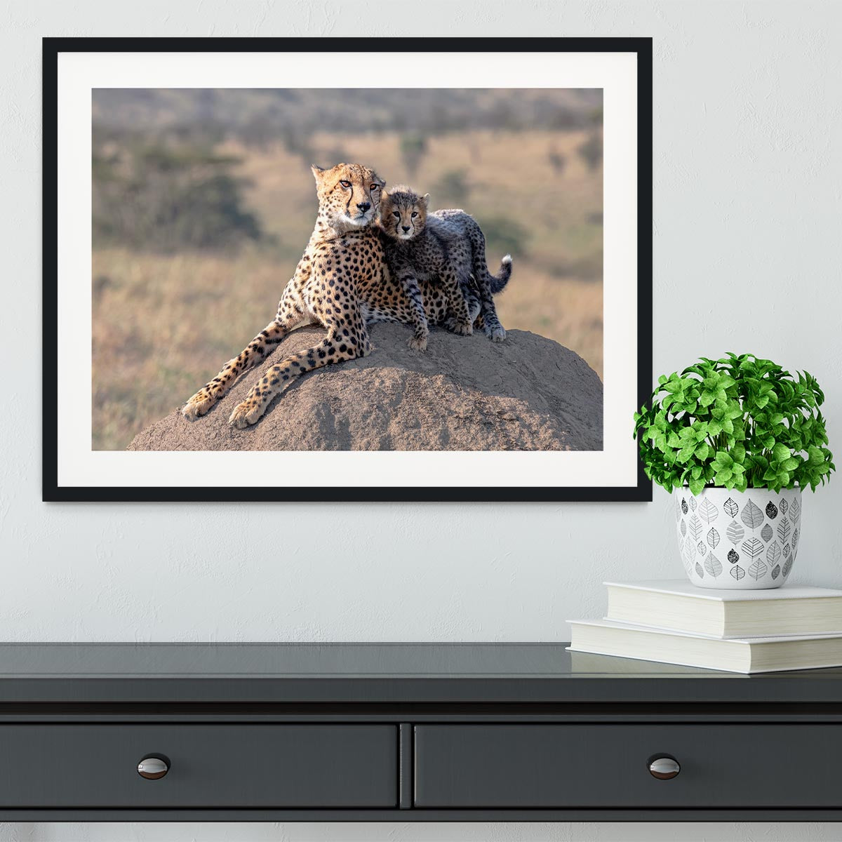 Cheetah and cup Framed Print - 1x - 1