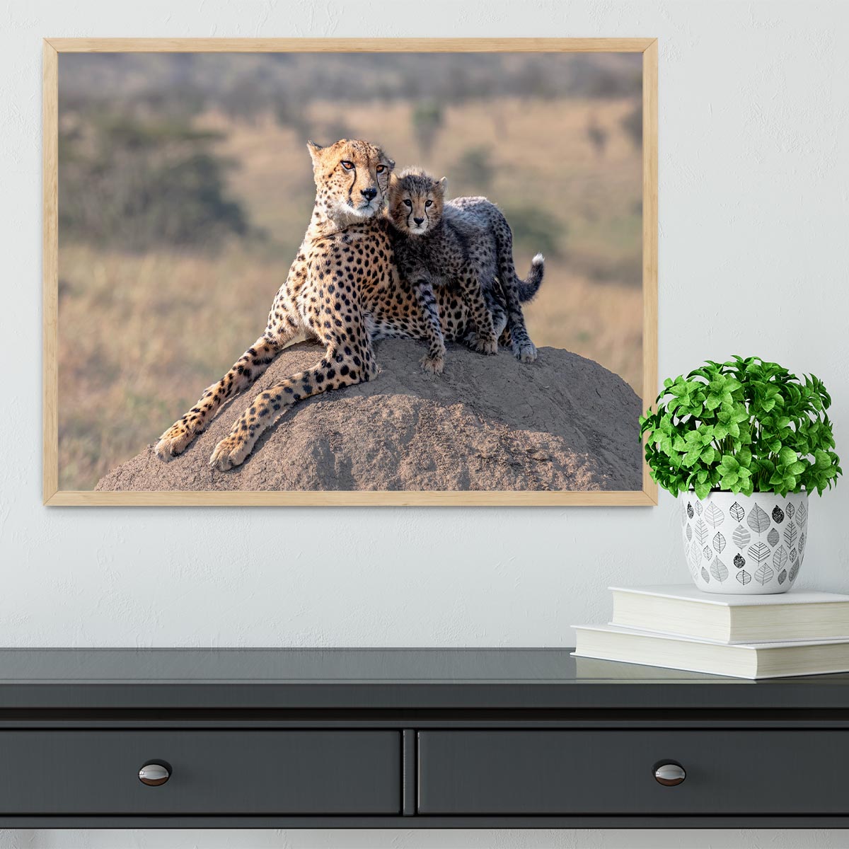 Cheetah and cup Framed Print - 1x - 4