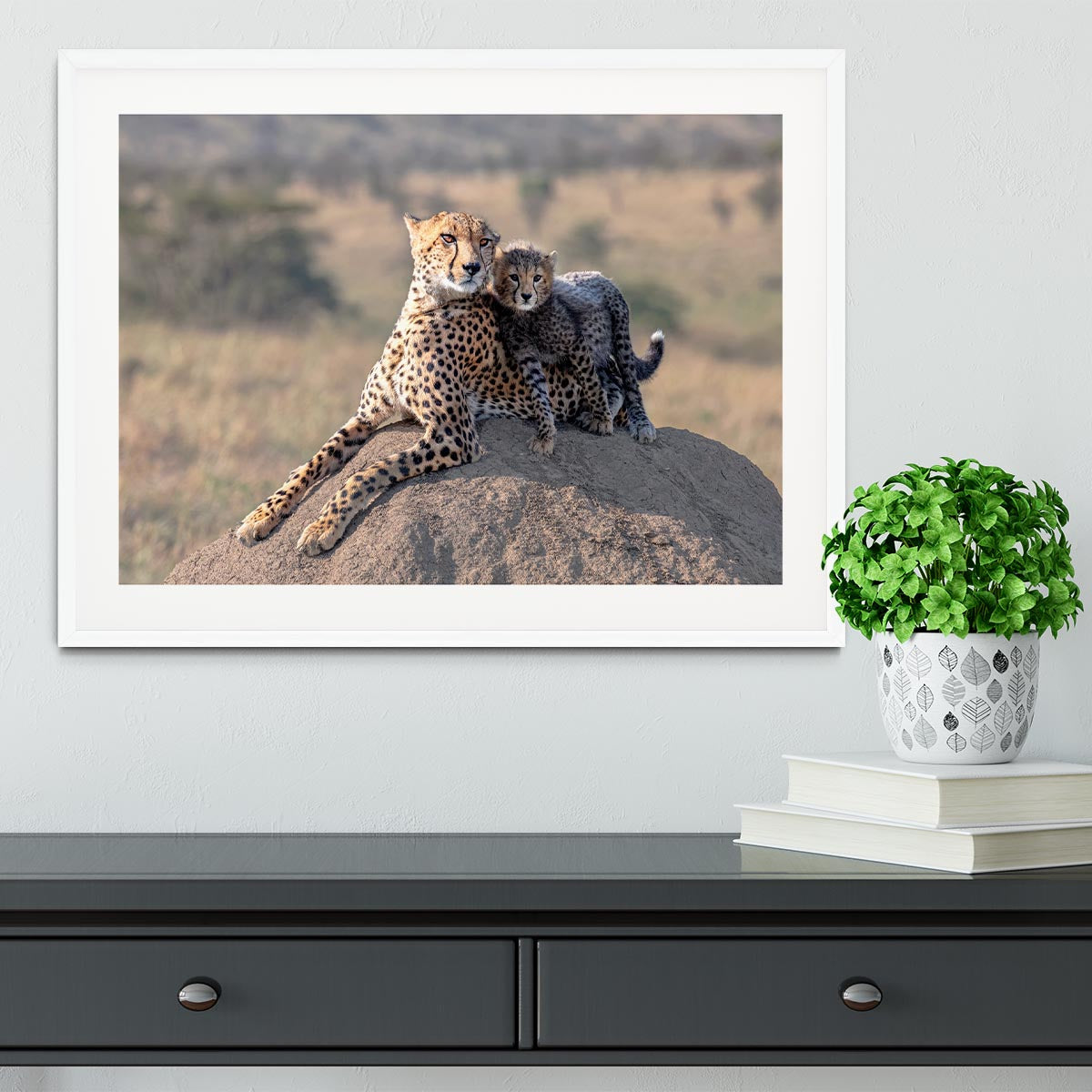 Cheetah and cup Framed Print - 1x - 5