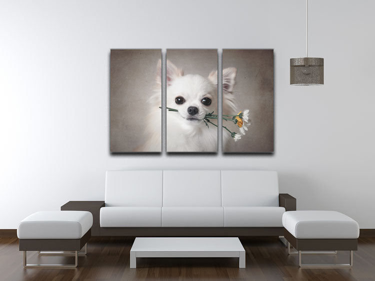 Chihuahua with flowers 3 Split Panel Canvas Print - 1x - 3