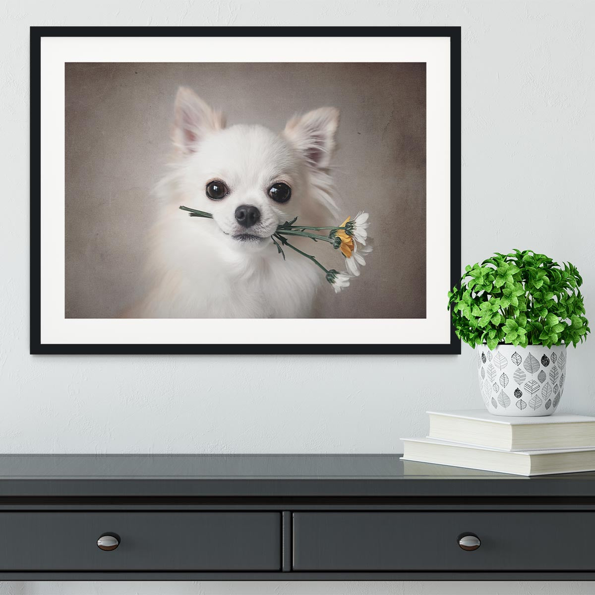 Chihuahua with flowers Framed Print - 1x - 1