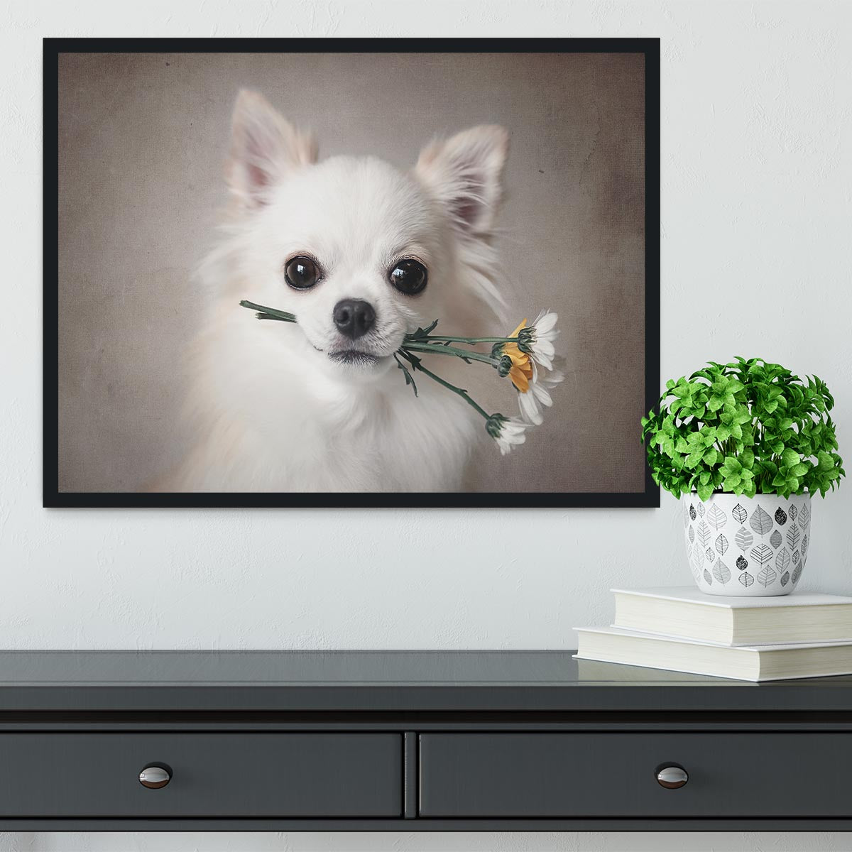 Chihuahua with flowers Framed Print - 1x - 2