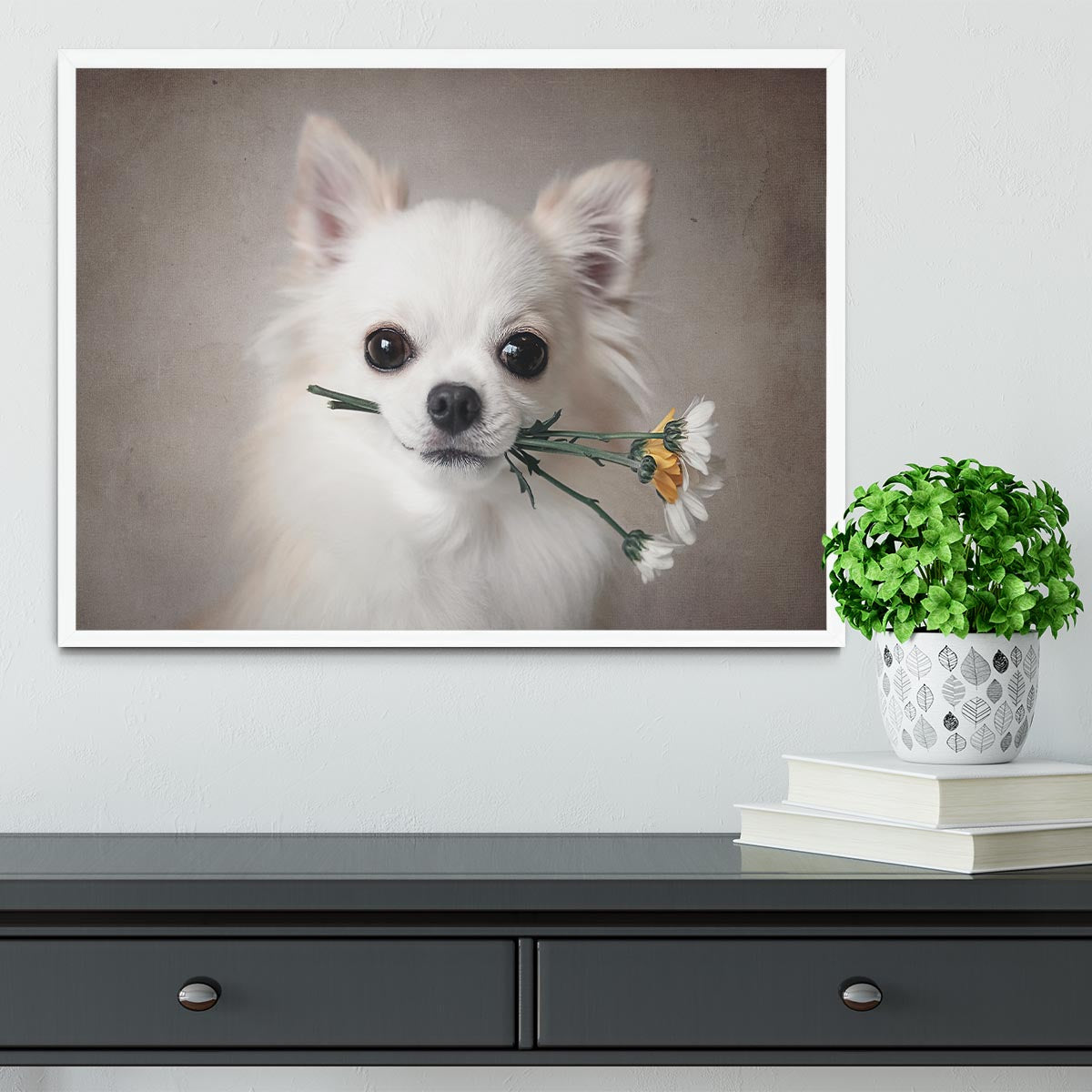 Chihuahua with flowers Framed Print - 1x -6