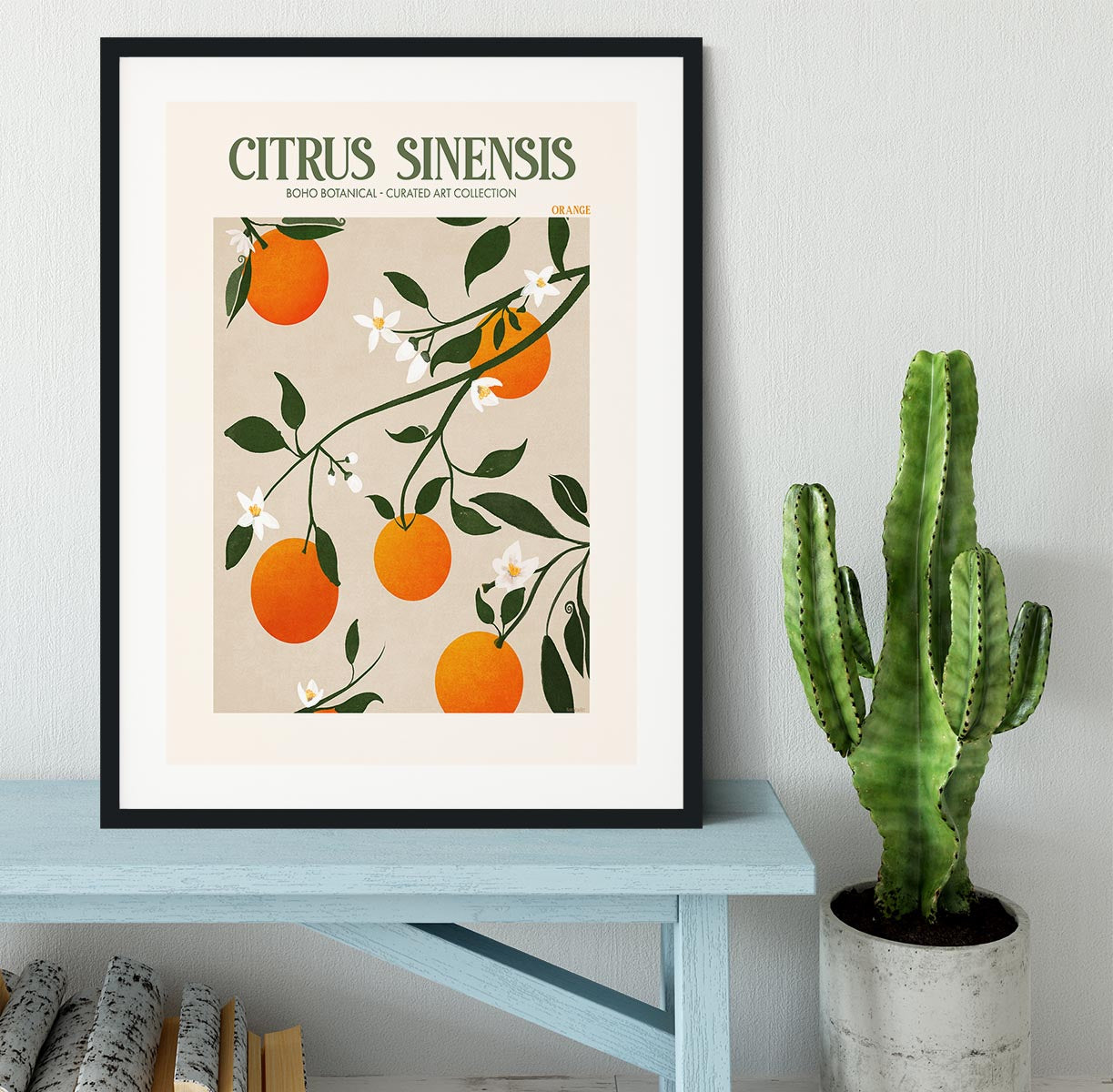 Citrus Sinensis Framed Print - Canvas Art Rocks - 1