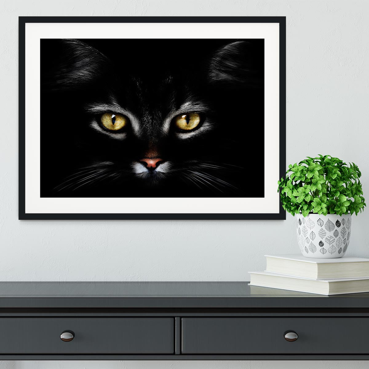 Close Up Cat Framed Print - 1x - 1