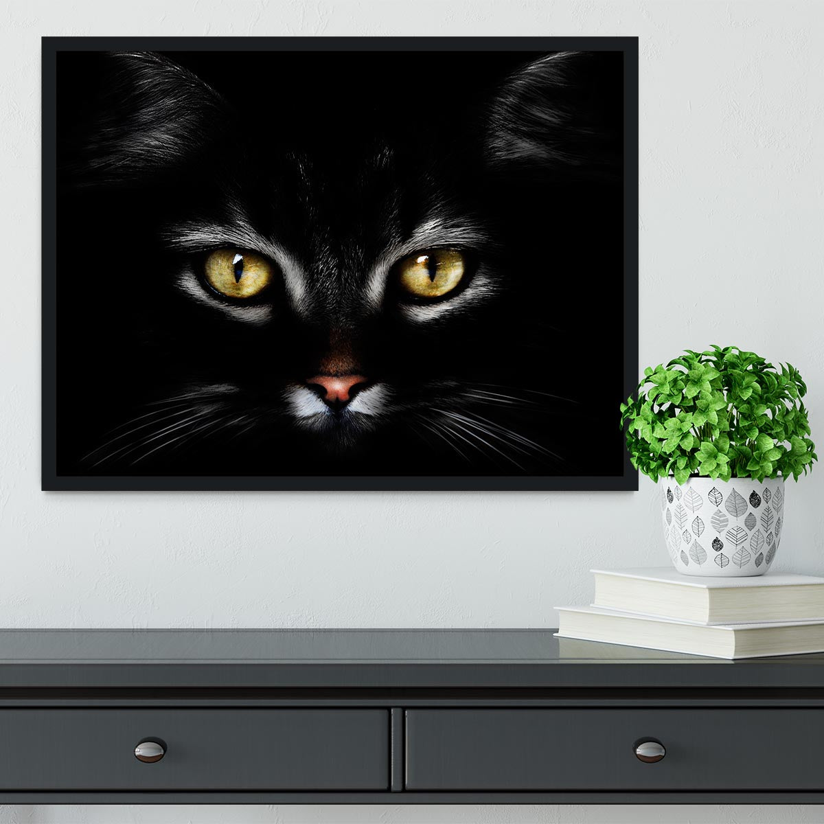 Close Up Cat Framed Print - 1x - 2