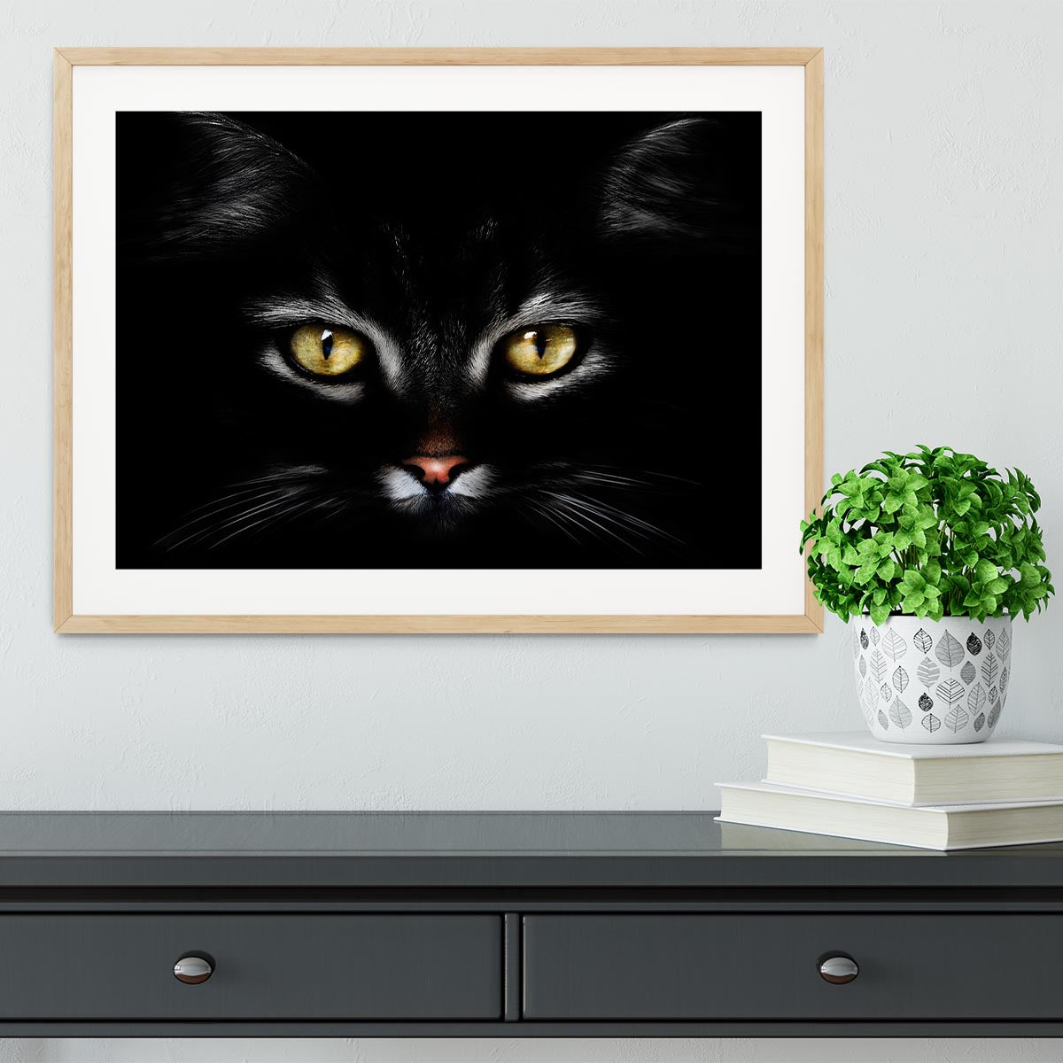 Close Up Cat Framed Print - 1x - 3