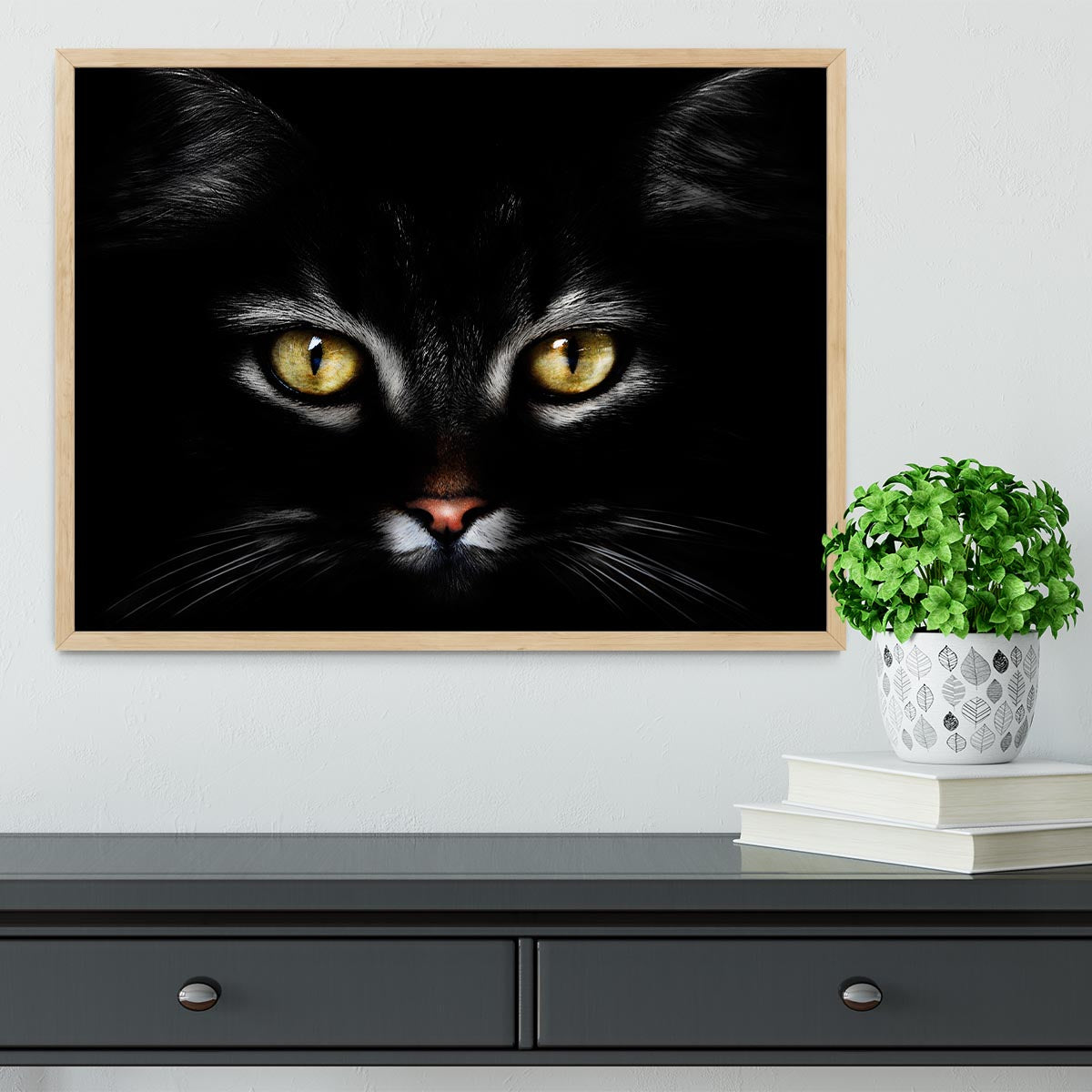 Close Up Cat Framed Print - 1x - 4