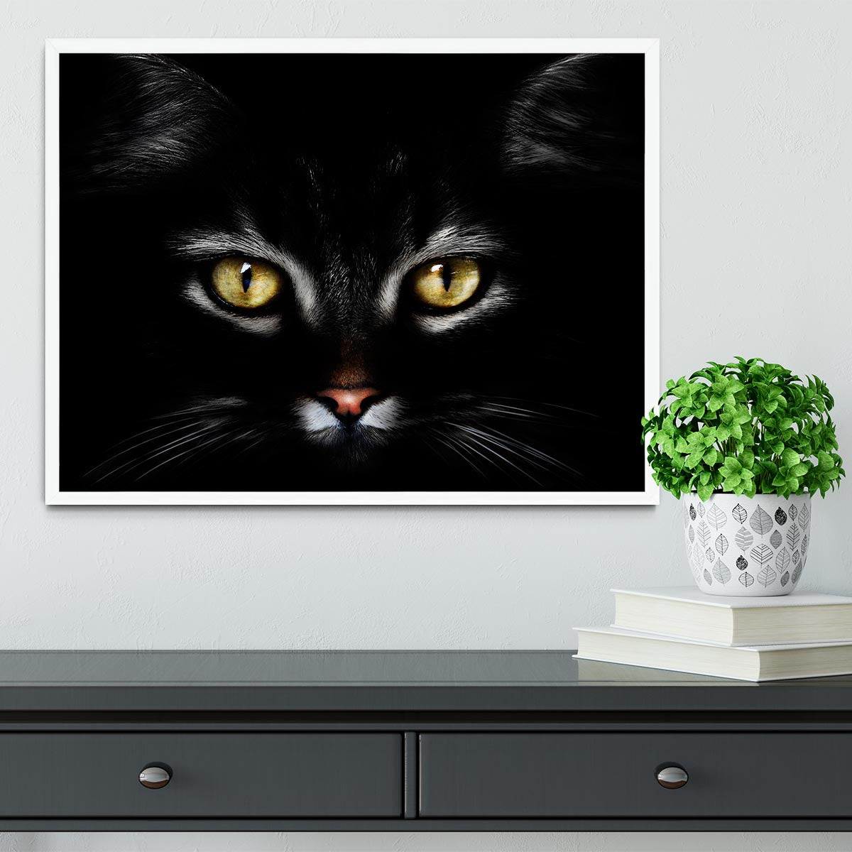 Close Up Cat Framed Print - 1x -6