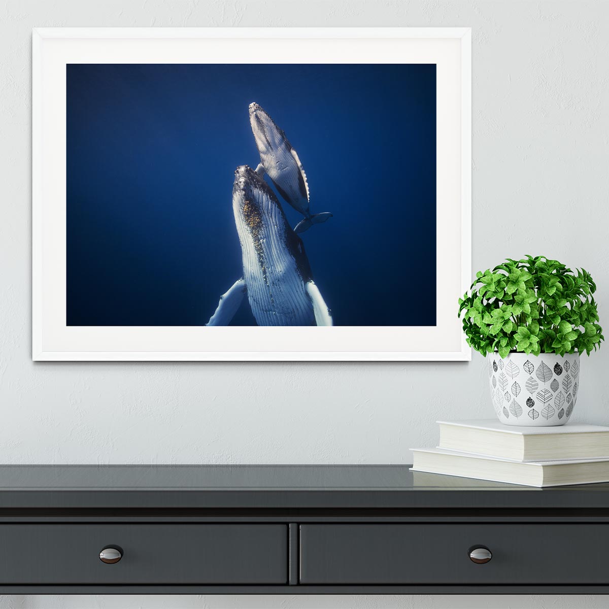 Come back to the surface Framed Print - 1x - 5