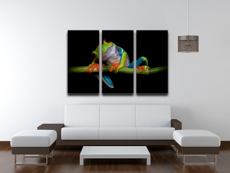 Curiosity 3 Split Panel Canvas Print - 1x - 3