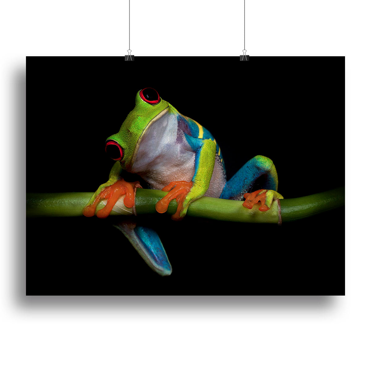 Curiosity Canvas Print or Poster - 1x - 2