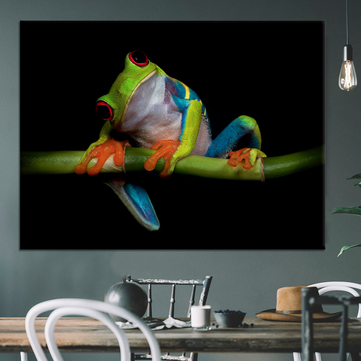 Curiosity Canvas Print or Poster - 1x - 3