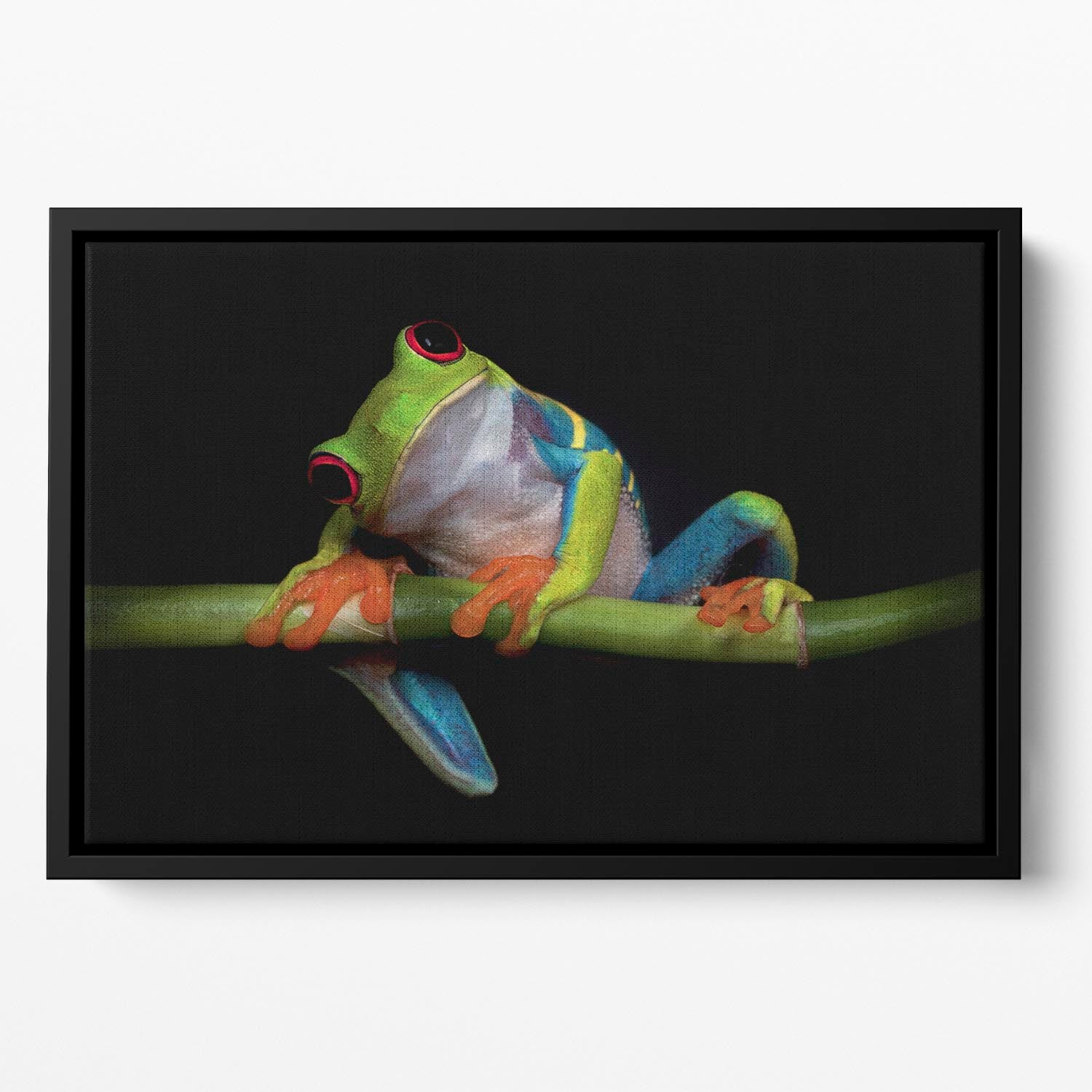 Curiosity Floating Framed Canvas - 1x - 2