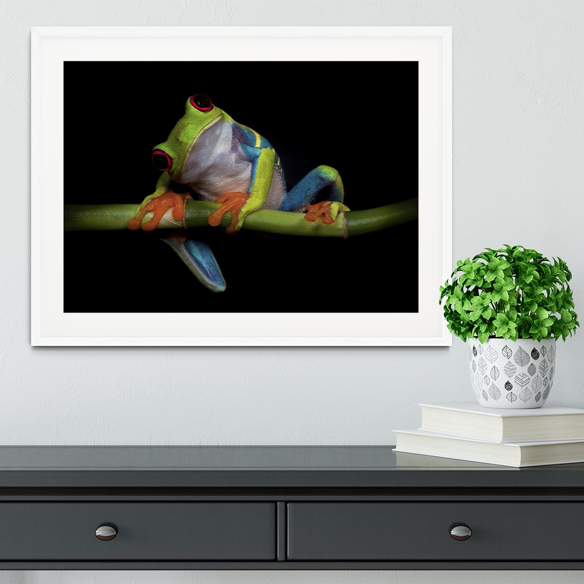 Curiosity Framed Print - 1x - 5