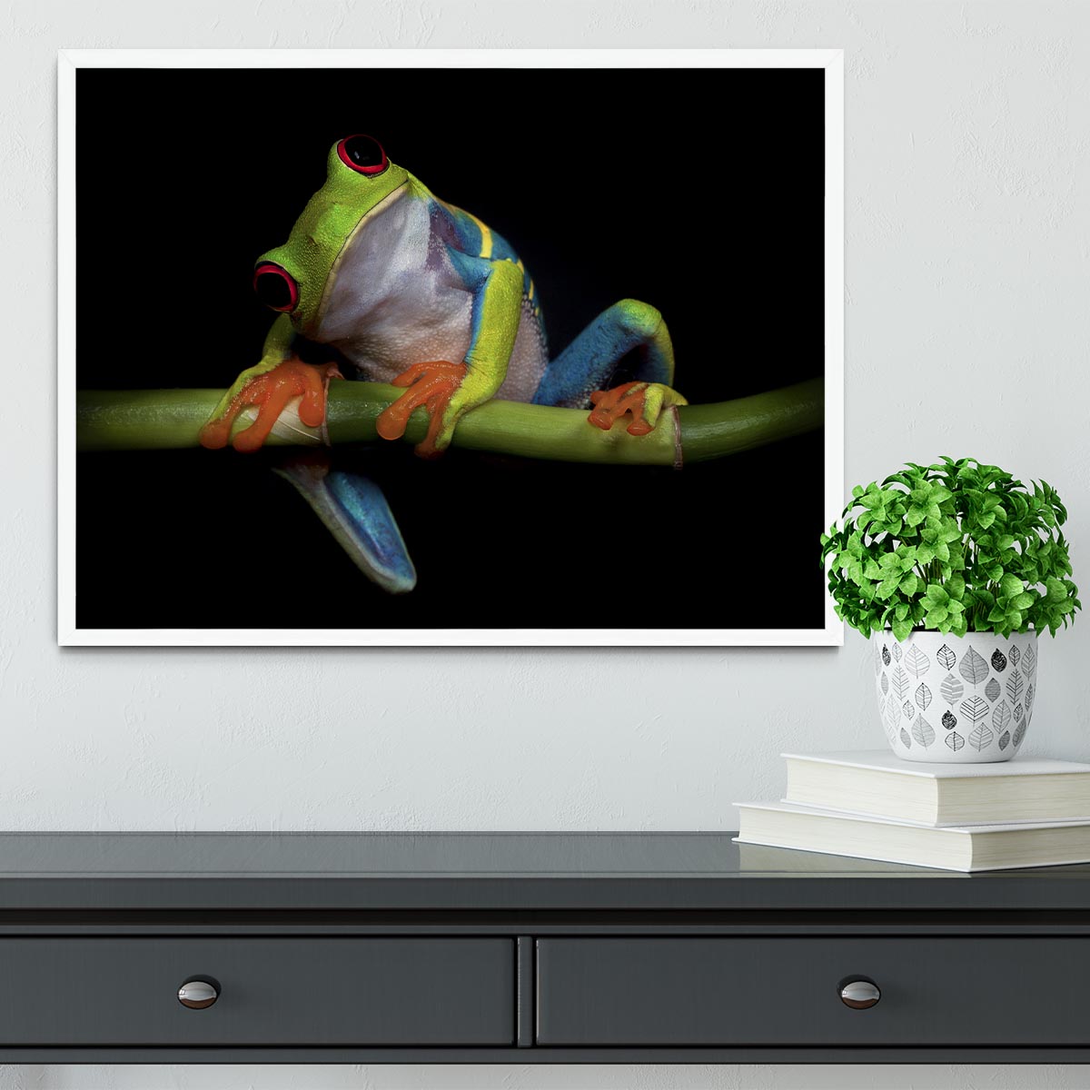 Curiosity Framed Print - 1x -6