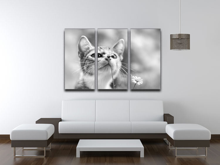 Curious 3 Split Panel Canvas Print - 1x - 3