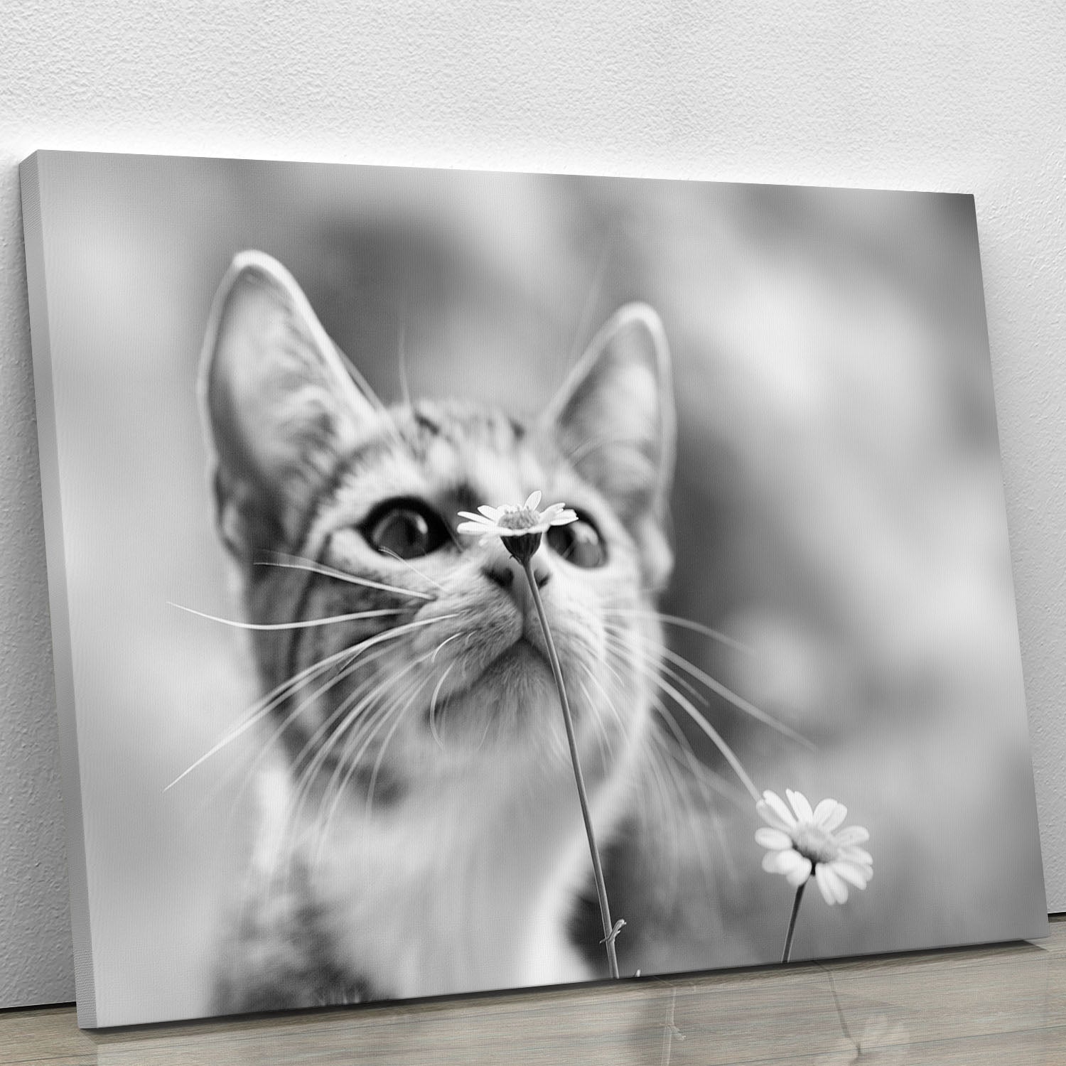 Curious Canvas Print or Poster - 1x - 1