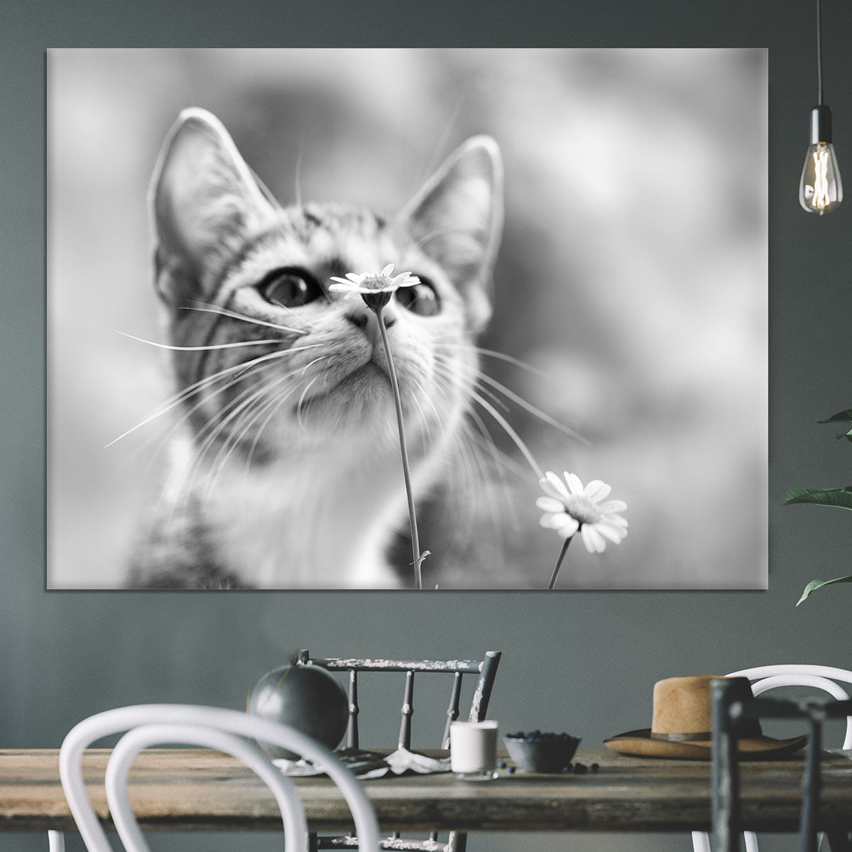 Curious Canvas Print or Poster - 1x - 3