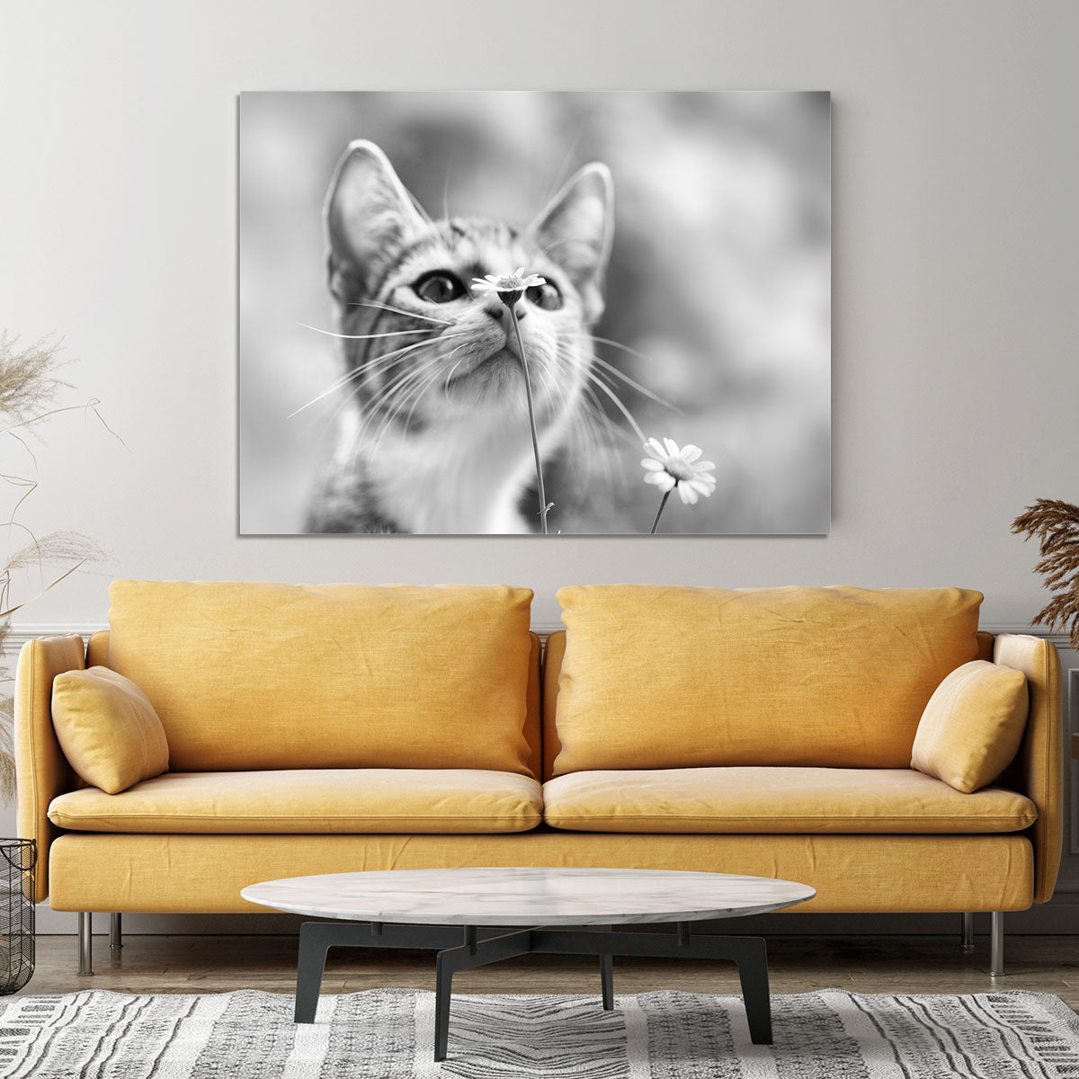 Curious Canvas Print or Poster - 1x - 4