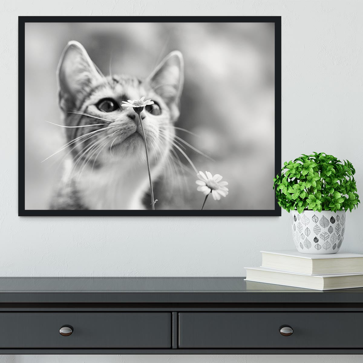 Curious Framed Print - 1x - 2