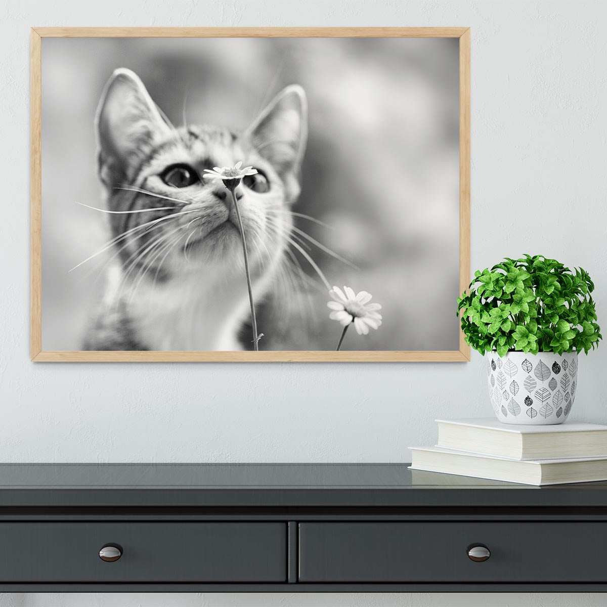 Curious Framed Print - 1x - 4