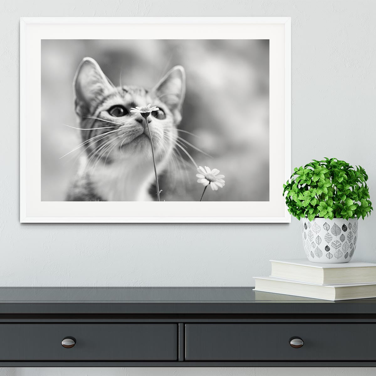 Curious Framed Print - 1x - 5