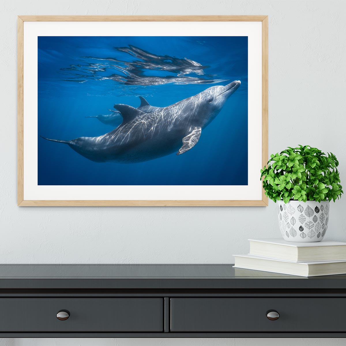 Dolphin at the surface Framed Print - 1x - 3