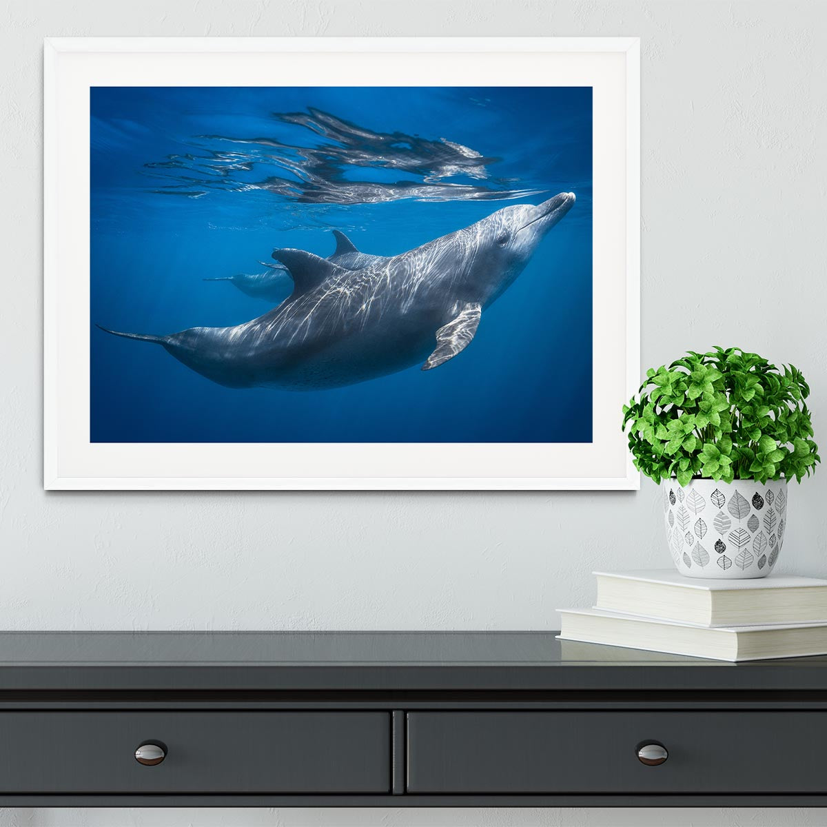 Dolphin at the surface Framed Print - 1x - 5