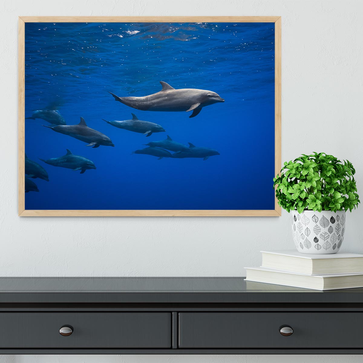 Dolphins Framed Print - 1x - 4