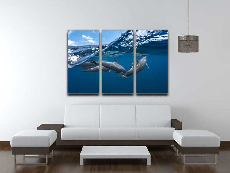 Dolphins Jumping 3 Split Panel Canvas Print - 1x - 3