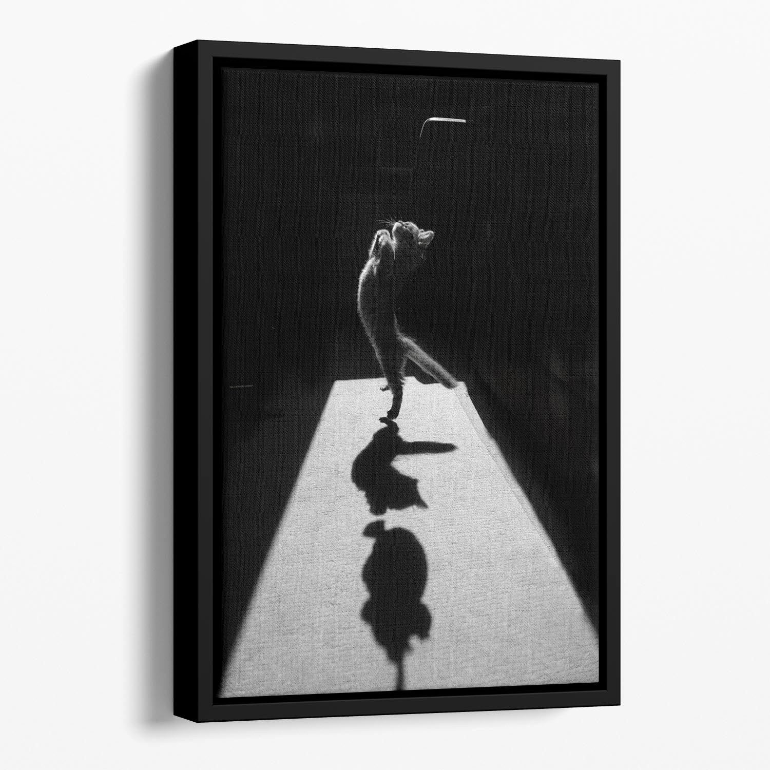 Edgar the Great II Floating Framed Canvas - 1x - 1