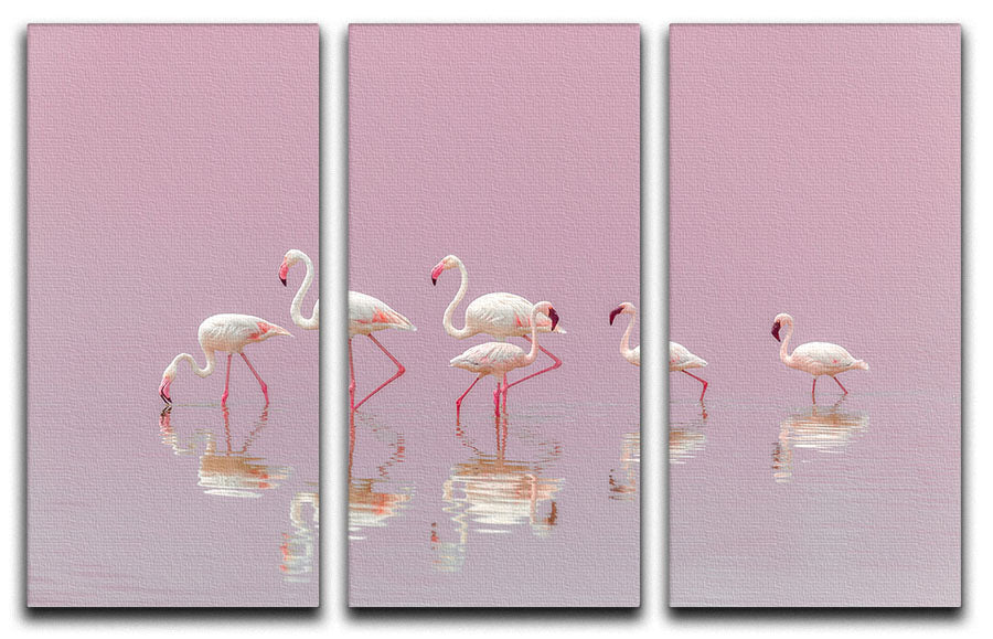 Flamingos 3 Split Panel Canvas Print - 1x - 1