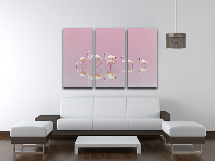 Flamingos 3 Split Panel Canvas Print - 1x - 3