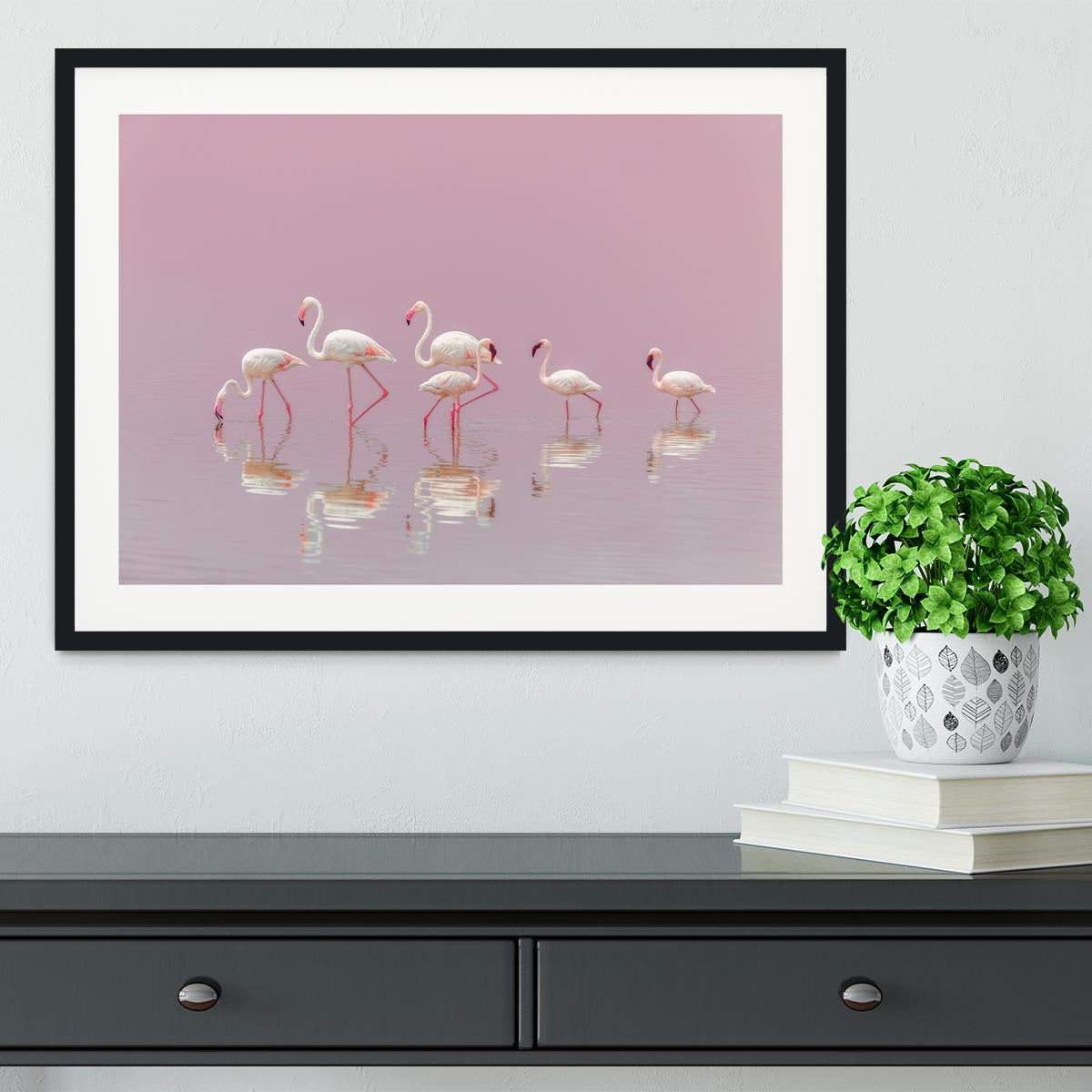 Flamingos Framed Print - 1x - 1