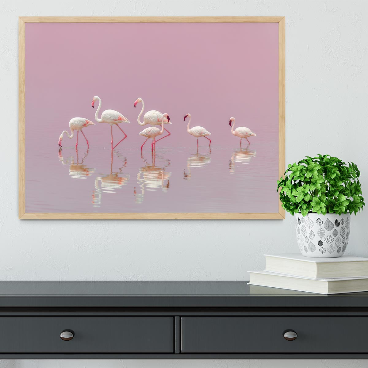 Flamingos Framed Print - 1x - 4