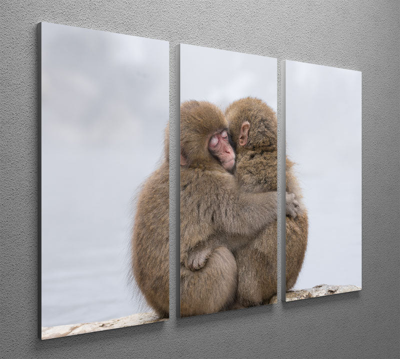 Forever Friends 3 Split Panel Canvas Print - 1x - 2