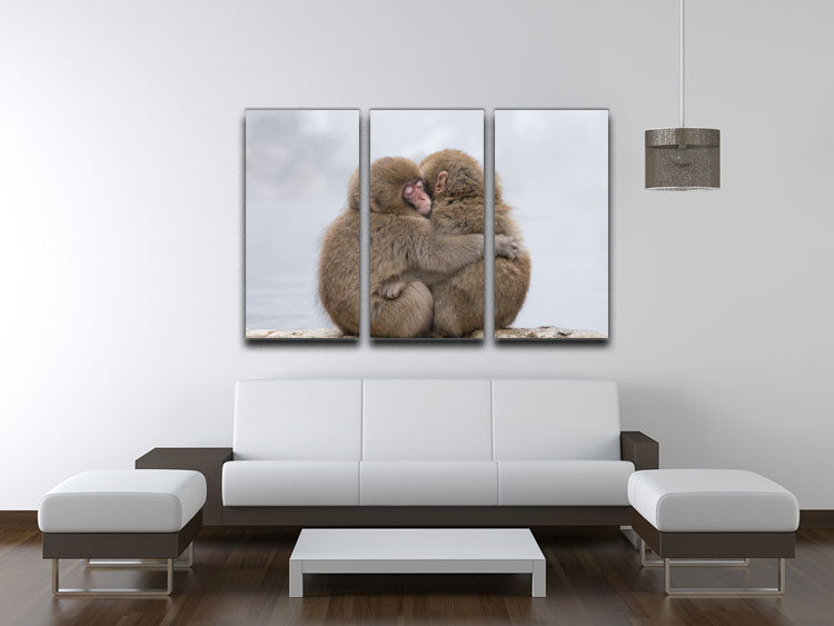 Forever Friends 3 Split Panel Canvas Print - 1x - 3