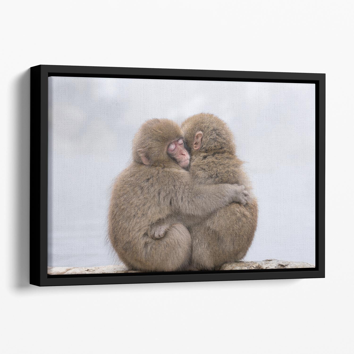 Forever Friends Floating Framed Canvas - 1x - 1