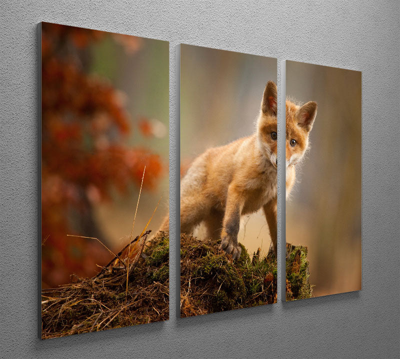 Fox 3 Split Panel Canvas Print - 1x - 2