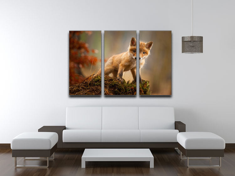 Fox 3 Split Panel Canvas Print - 1x - 3