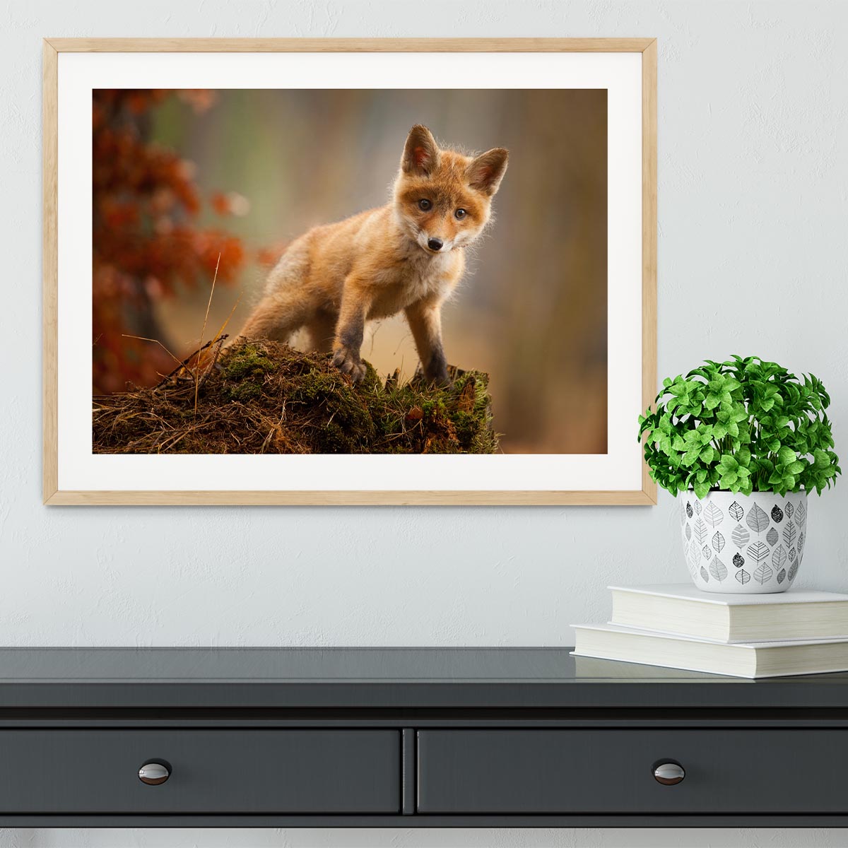 Fox Framed Print - 1x - 3