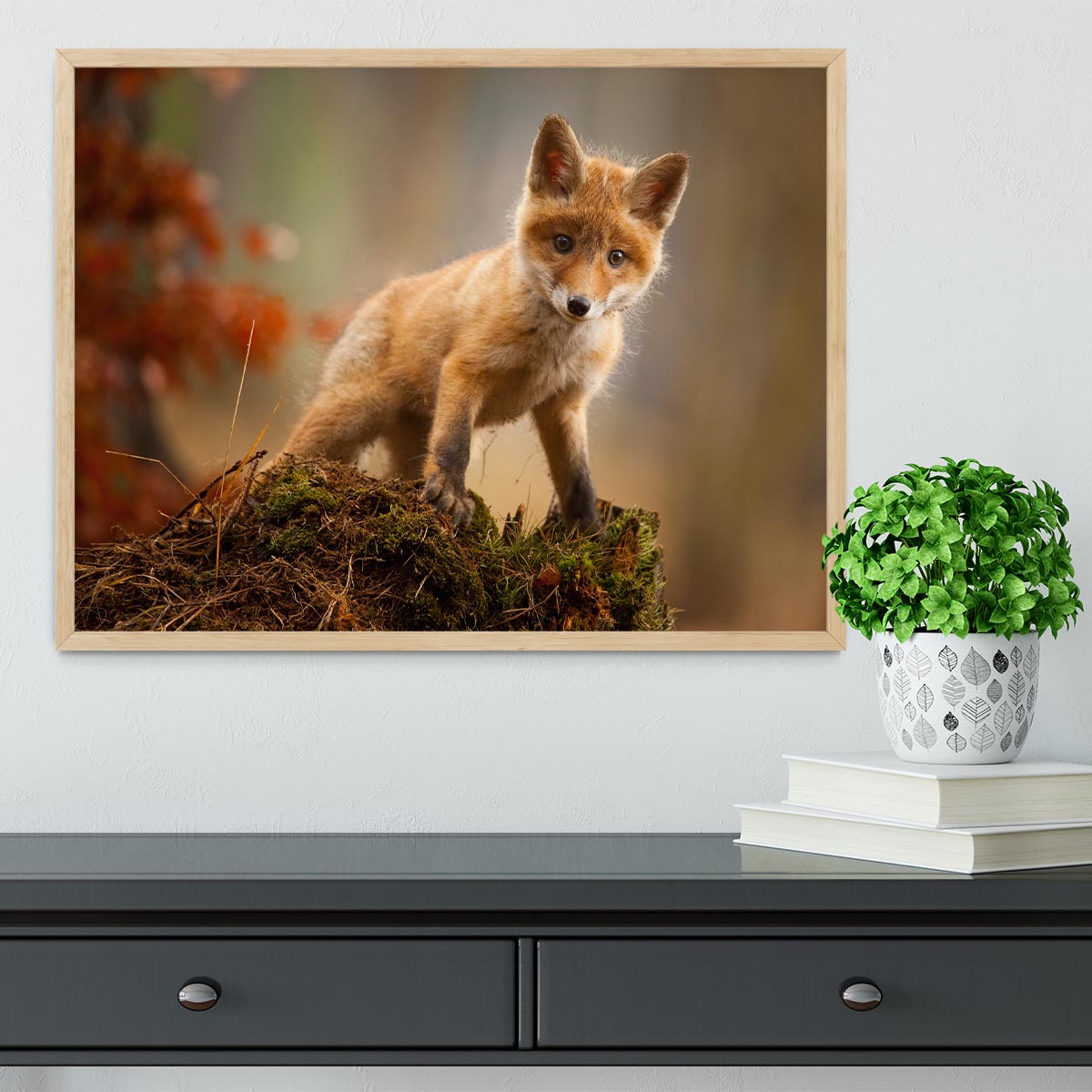 Fox Framed Print - 1x - 4