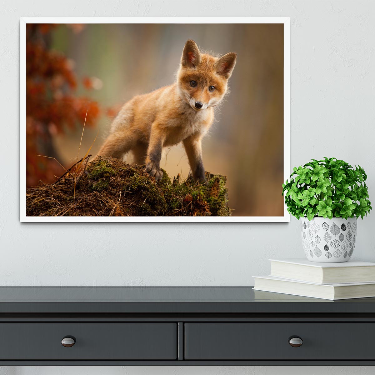 Fox Framed Print - 1x -6