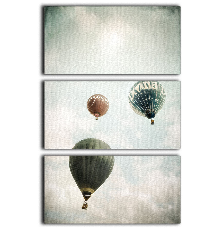 Freedom 3 Split Panel Canvas Print - 1x - 1